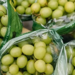 Green seedless grapes