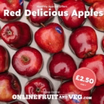 Red delicious Apples