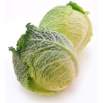 Savoy Cabbage